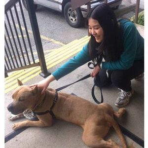 Meet your Posher, Sandy